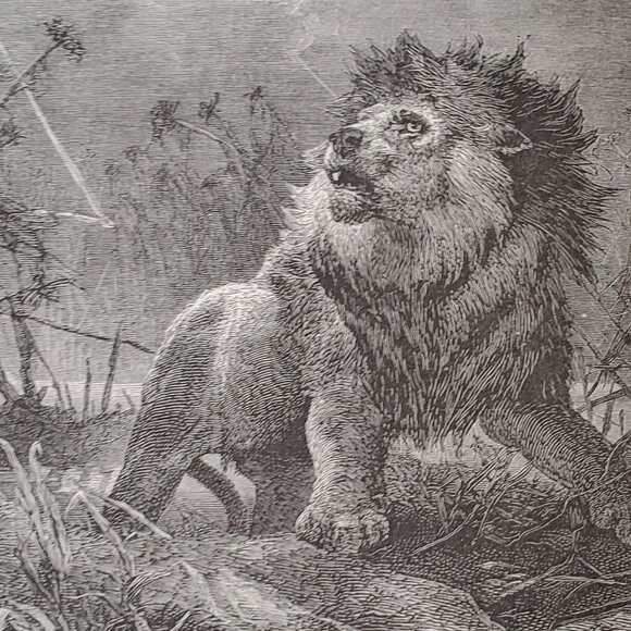 Thrones and Palaces of Babylon and Nineveh: 1876 - Picture 8 of 16